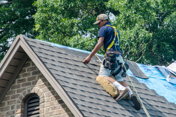 Professional Roofing Contractor in Bogata, TX